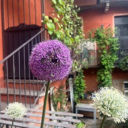Come A Casa 卡斯特尔图-苏帕提茨诺 外观 照片